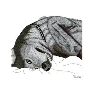 "Teggies!" - 10x10" Fine Art Print